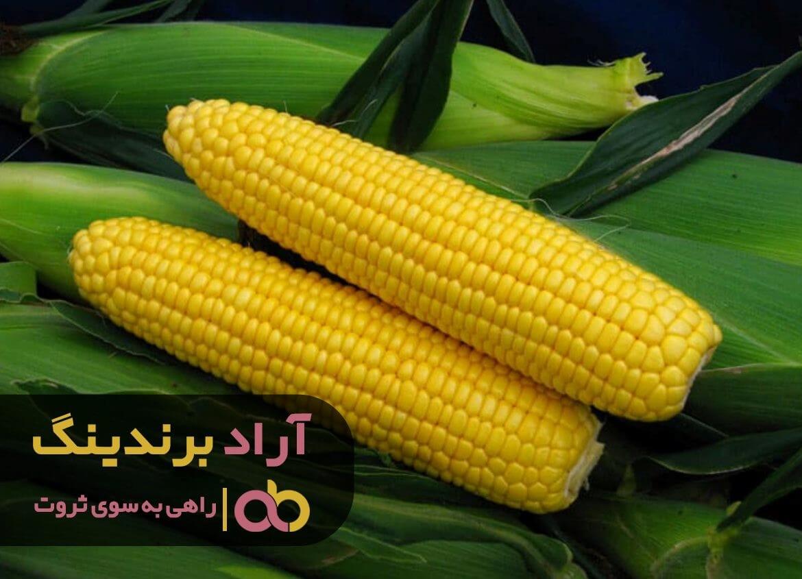 فروش ذرت شیرین