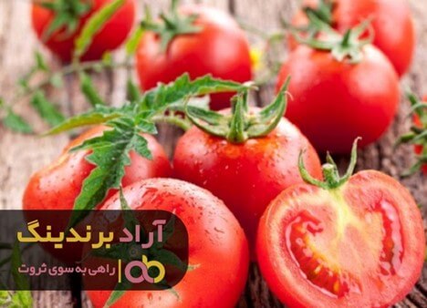 قیمت روز گوجه فرنگی
