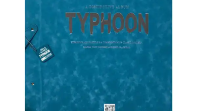 آلبوم کاغذ دیواری تایفون (TYPHOON) انتخابی بی‌نظیر برای زیباسازی فضاهای داخلی