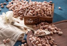 رازهای انتخاب لوبیا چیتی مرغوب برای صنایع غذایی